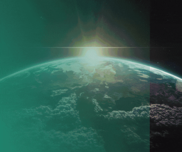 Shopper certification