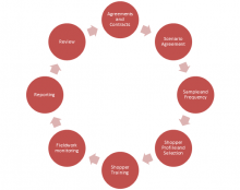 NEW - MSPA Guidelines on Mystery Shopping for all members and staff