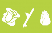 Note from the President of MSPA Europe/Africa