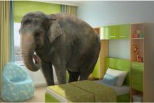 Elephants and Relevance - A different perspective